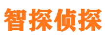 阳城外遇调查取证